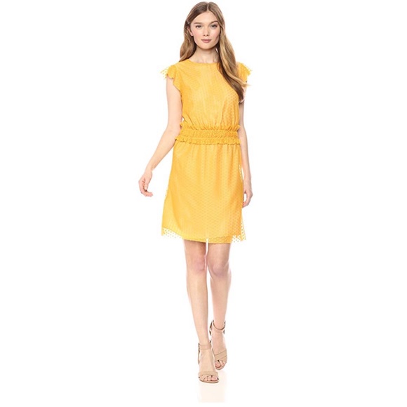 Ella Moon Dresses & Skirts - ⭐️Ella Moon Yellow Ruffled Dress Medium